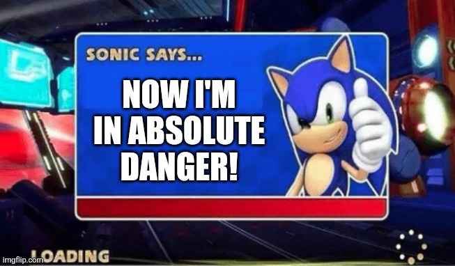 Sonic Says | NOW I'M IN ABSOLUTE DANGER! | image tagged in sonic says | made w/ Imgflip meme maker