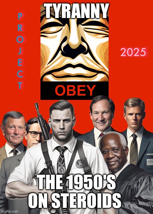 Government Tyranny | TYRANNY; THE 1950'S ON STEROIDS | image tagged in project 2025 american fascism playbook,tyranny,fascism,project 2025,jd vance,heritage foundation | made w/ Imgflip meme maker