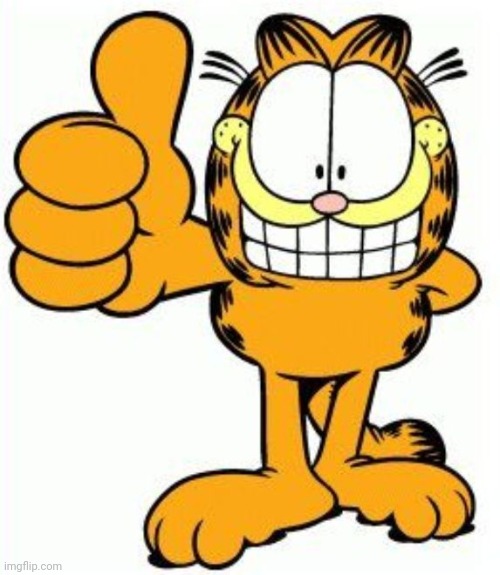 Garfield thumbs up | image tagged in garfield thumbs up | made w/ Imgflip meme maker