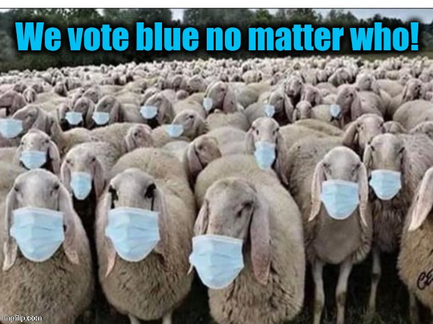 Sheeple | We vote blue no matter who! | image tagged in sheeple | made w/ Imgflip meme maker