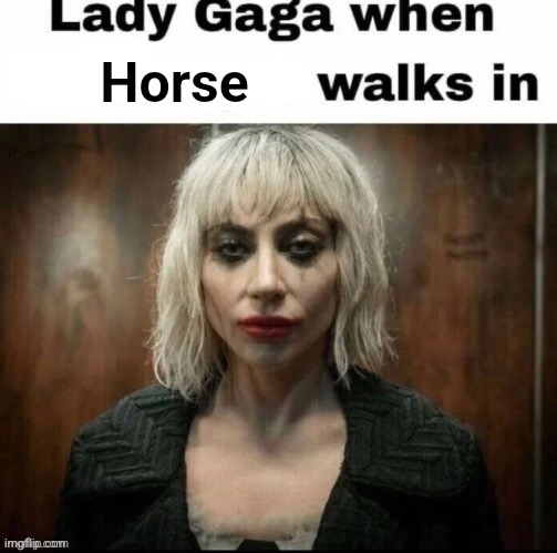 >be lady gaga >horse walks in | Horse | made w/ Imgflip meme maker