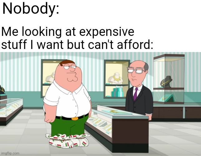 There is a certain clip on Family Guy I find very relatable being a person who wants nice things but can't afford it | Nobody:; Me looking at expensive stuff I want but can't afford: | image tagged in peter griffin bread bag shoes,poverty,broke,expensive,family guy,peter griffin | made w/ Imgflip meme maker