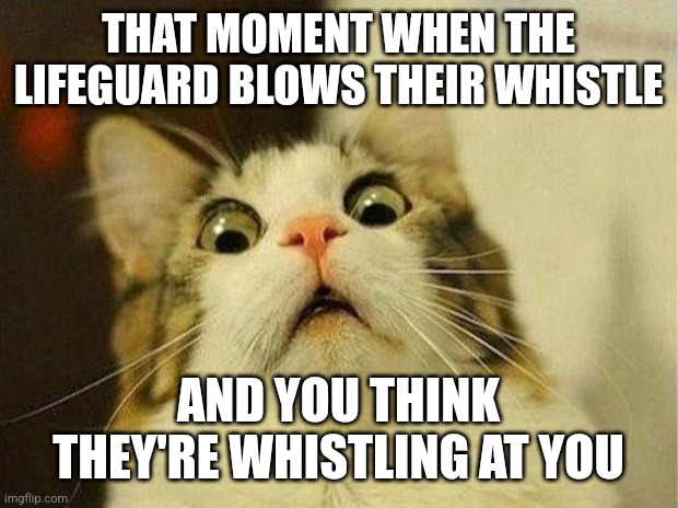 Heart attack moment | THAT MOMENT WHEN THE LIFEGUARD BLOWS THEIR WHISTLE; AND YOU THINK THEY'RE WHISTLING AT YOU | image tagged in memes,scared cat,pool,lifeguards | made w/ Imgflip meme maker