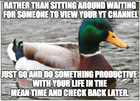 Actual Advice Mallard Meme | RATHER THAN SITTING AROUND WAITING FOR SOMEONE TO VIEW YOUR YT CHANNEL JUST GO AND DO SOMETHING PRODUCTIVE WITH YOUR LIFE IN THE MEAN TIME A | image tagged in memes,actual advice mallard | made w/ Imgflip meme maker