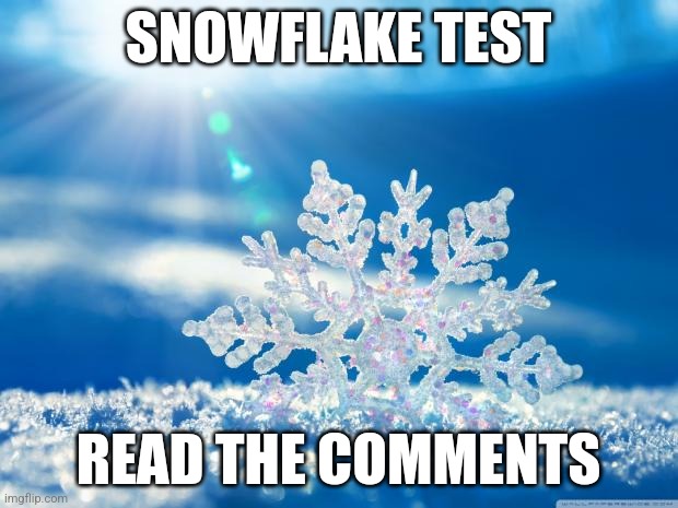 snowflake | SNOWFLAKE TEST; READ THE COMMENTS | image tagged in snowflake | made w/ Imgflip meme maker