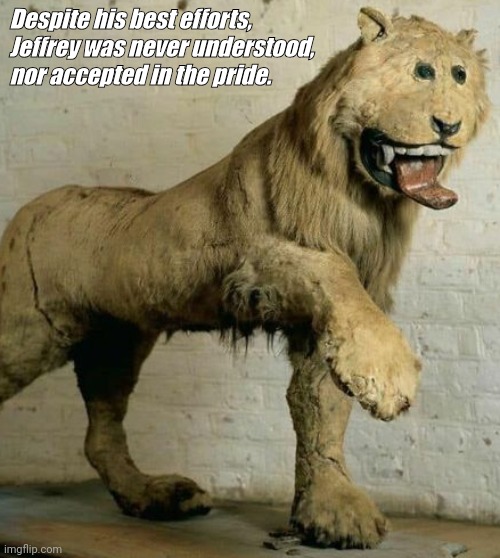 Despite his best efforts, Jeffrey was never understood, nor accepted in the pride. | image tagged in funny memes | made w/ Imgflip meme maker