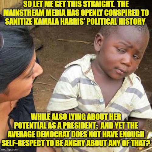 It says all one needs to know about the average Democrat, doesn't it? | SO LET ME GET THIS STRAIGHT.  THE MAINSTREAM MEDIA HAS OPENLY CONSPIRED TO SANITIZE KAMALA HARRIS' POLITICAL HISTORY; WHILE ALSO LYING ABOUT HER POTENTIAL AS A PRESIDENT;  AND YET THE AVERAGE DEMOCRAT DOES NOT HAVE ENOUGH SELF-RESPECT TO BE ANGRY ABOUT ANY OF THAT? | image tagged in third world skeptical kid | made w/ Imgflip meme maker