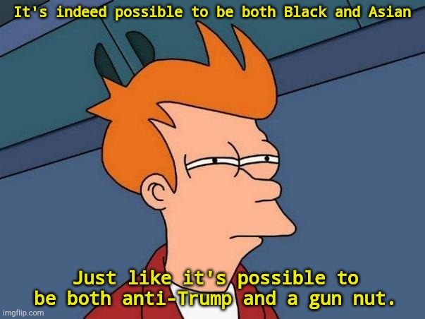 skeptical fry | It's indeed possible to be both Black and Asian; Just like it's possible to be both anti-Trump and a gun nut. | image tagged in skeptical fry | made w/ Imgflip meme maker