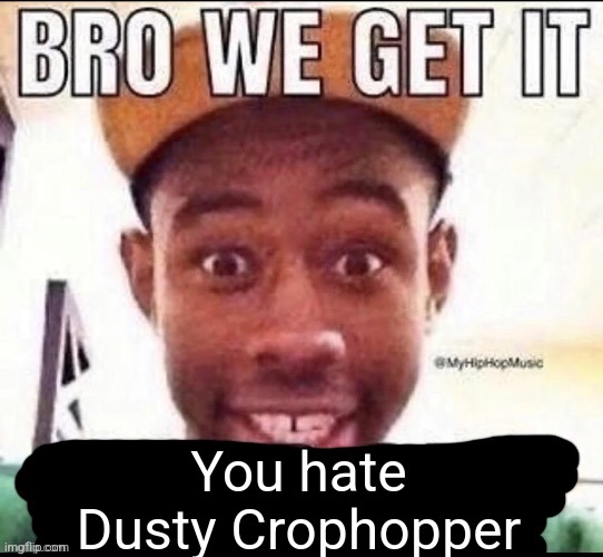 @Patriotic_Foxy501 | You hate Dusty Crophopper | image tagged in bro we get it blank | made w/ Imgflip meme maker