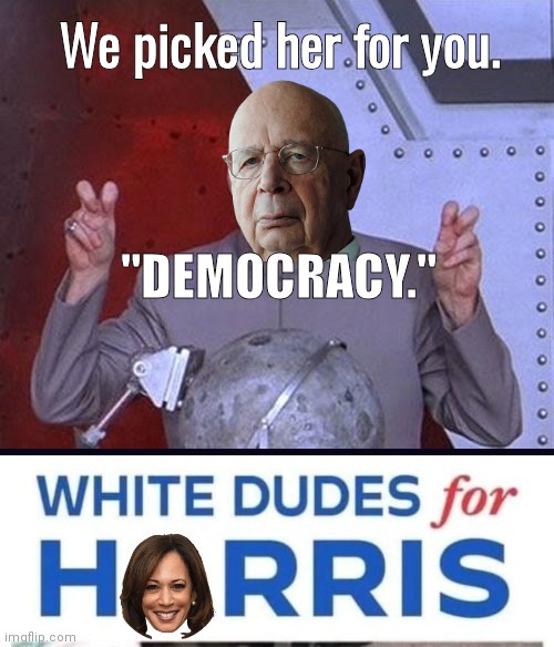 Klaus Schwab we picked Hobama for you | We picked her for you. "DEMOCRACY." | image tagged in dr evil laser,white dudes for hobama harris | made w/ Imgflip meme maker