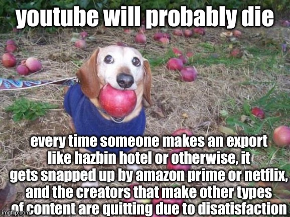 youtube is making decisions that fail to retain creators and/or consumers | youtube will probably die; every time someone makes an export like hazbin hotel or otherwise, it gets snapped up by amazon prime or netflix, and the creators that make other types of content are quitting due to disatisfaction | image tagged in this dock | made w/ Imgflip meme maker