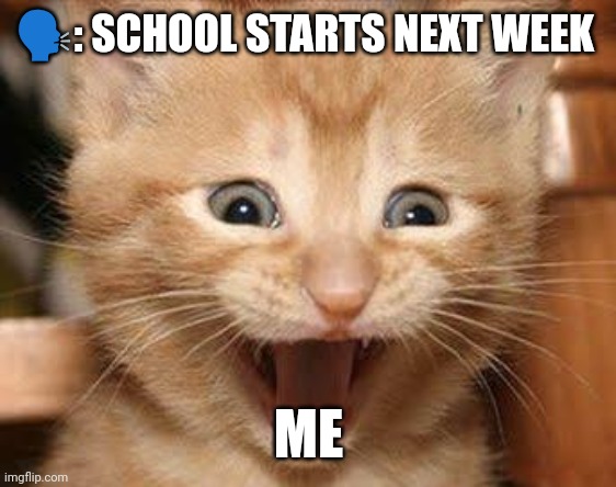 Excited Cat | 🗣️: SCHOOL STARTS NEXT WEEK; ME | image tagged in memes,excited cat | made w/ Imgflip meme maker