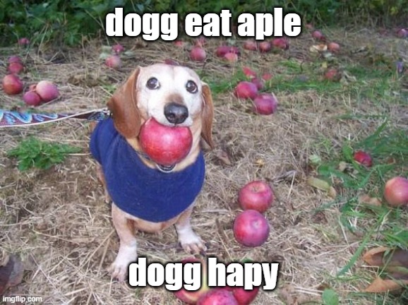 this dock | dogg eat aple; dogg hapy | made w/ Imgflip meme maker