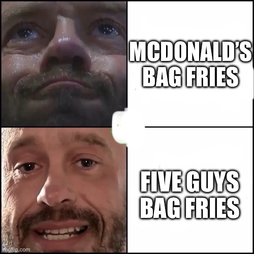 Five Bags | MCDONALD’S BAG FRIES; FIVE GUYS BAG FRIES | image tagged in french fries,mcdonalds,five guys,burger,fries,bag | made w/ Imgflip meme maker