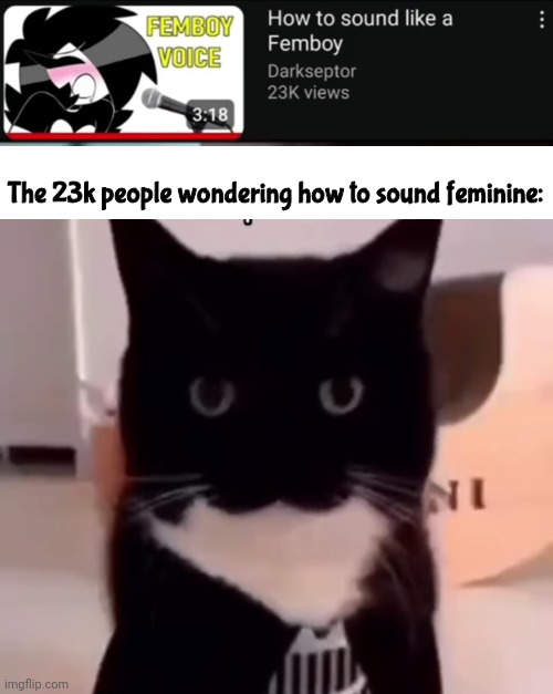 The 23k people wondering how to sound feminine: | made w/ Imgflip meme maker