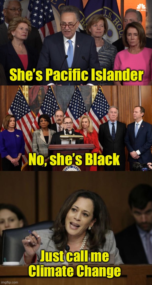 When the left can’t make up its mind | She’s Pacific Islander; No, she’s Black; Just call me
Climate Change | image tagged in democrat congressmen,house democrats,kamala harris | made w/ Imgflip meme maker