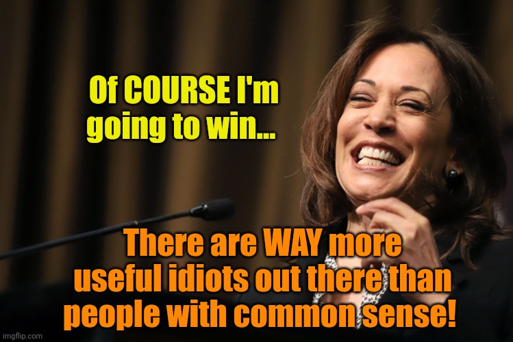 I already have that "other" stream completely hoodwinked! | Of COURSE I'm going to win... There are WAY more useful idiots out there than people with common sense! | image tagged in kamala harris laughing | made w/ Imgflip meme maker