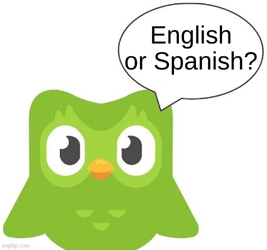 Duolingo says: | English or Spanish? | image tagged in duolingo | made w/ Imgflip meme maker