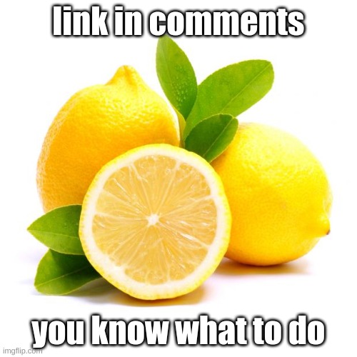 y | link in comments; you know what to do | image tagged in lemon,idk,no,e,ee,help | made w/ Imgflip meme maker