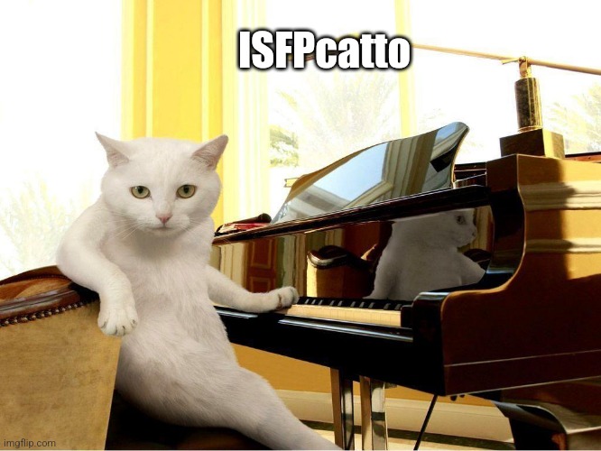 ISFP | ISFPcatto | image tagged in cat musician,isfp,musician,mbti,myers briggs,personality | made w/ Imgflip meme maker