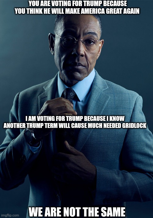 Same Gridlock | YOU ARE VOTING FOR TRUMP BECAUSE YOU THINK HE WILL MAKE AMERICA GREAT AGAIN; I AM VOTING FOR TRUMP BECAUSE I KNOW ANOTHER TRUMP TERM WILL CAUSE MUCH NEEDED GRIDLOCK; WE ARE NOT THE SAME | image tagged in gus fring we are not the same,donald trump,2024,political meme | made w/ Imgflip meme maker