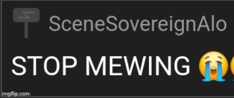 stop mewing | image tagged in stop mewing | made w/ Imgflip meme maker