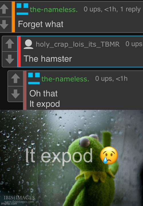 It expod 😢 | image tagged in kermit window | made w/ Imgflip meme maker