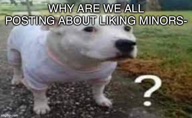 ? | WHY ARE WE ALL POSTING ABOUT LIKING MINORS- | image tagged in dog question mark | made w/ Imgflip meme maker