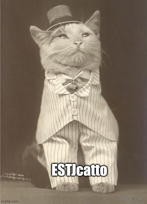 Fancy Cat | ESTJcatto | image tagged in fancy cat | made w/ Imgflip meme maker