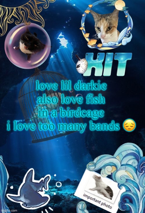 silly announcement template by asriel | love lil darkie
also love fish in a birdcage
i love too many bands 😔 | image tagged in silly announcement template by asriel | made w/ Imgflip meme maker