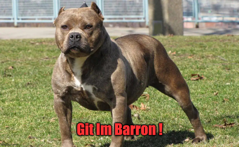 Big dog | Git Im Barron ! | image tagged in big dog | made w/ Imgflip meme maker