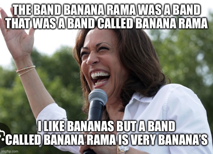 THE BAND BANANA RAMA WAS A BAND THAT WAS A BAND CALLED BANANA RAMA; I LIKE BANANAS BUT A BAND CALLED BANANA RAMA IS VERY BANANA’S | made w/ Imgflip meme maker