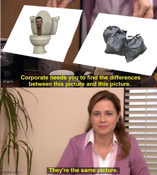 They're The Same Picture Meme | image tagged in memes,they're the same picture | made w/ Imgflip meme maker