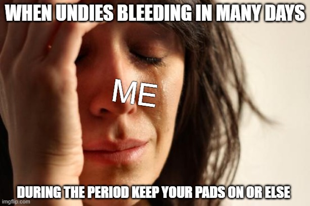 normal day ruin be like here we go again: | WHEN UNDIES BLEEDING IN MANY DAYS; ME; DURING THE PERIOD KEEP YOUR PADS ON OR ELSE | image tagged in memes,first world problems,period | made w/ Imgflip meme maker