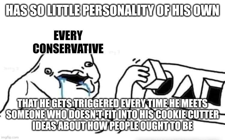 Conservatives demand conformity. | HAS SO LITTLE PERSONALITY OF HIS OWN; EVERY CONSERVATIVE; THAT HE GETS TRIGGERED EVERY TIME HE MEETS
SOMEONE WHO DOESN'T FIT INTO HIS COOKIE CUTTER
IDEAS ABOUT HOW PEOPLE OUGHT TO BE | image tagged in stupid dumb drooling puzzle,conservative logic,triggered,personality,conformity,maga | made w/ Imgflip meme maker