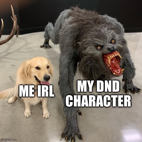 All DND players, assemble | MY DND CHARACTER; ME IRL | image tagged in good dog scary dog,dnd | made w/ Imgflip meme maker