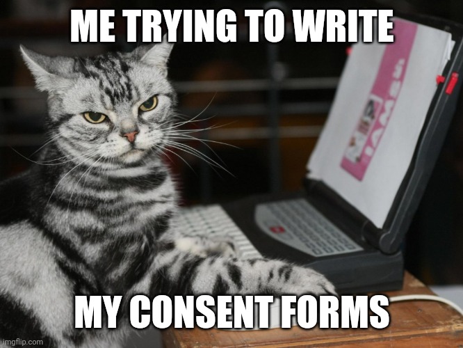 Consent Forms | ME TRYING TO WRITE; MY CONSENT FORMS | image tagged in annoyed designer cat,phd,grad school,irb,research | made w/ Imgflip meme maker