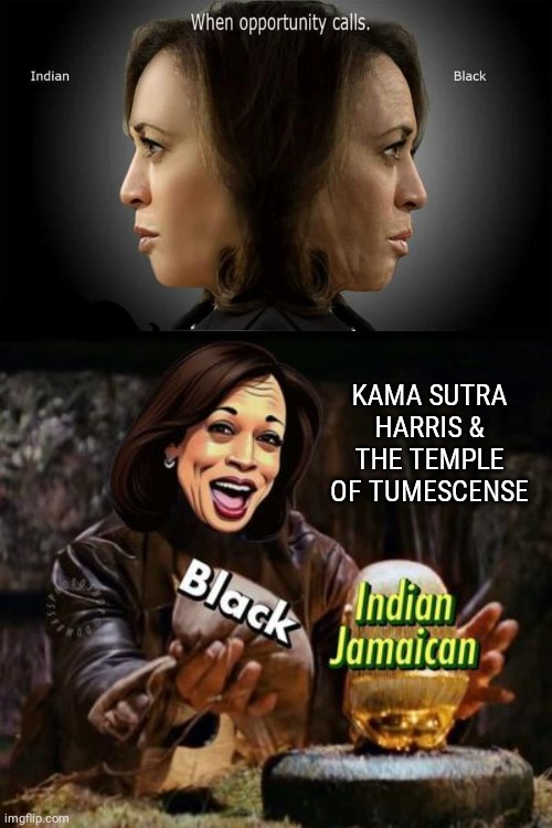 Kama Sutra Harris and the Temple of Tumescence | KAMA SUTRA HARRIS & THE TEMPLE OF TUMESCENSE | image tagged in kamala harris,race | made w/ Imgflip meme maker