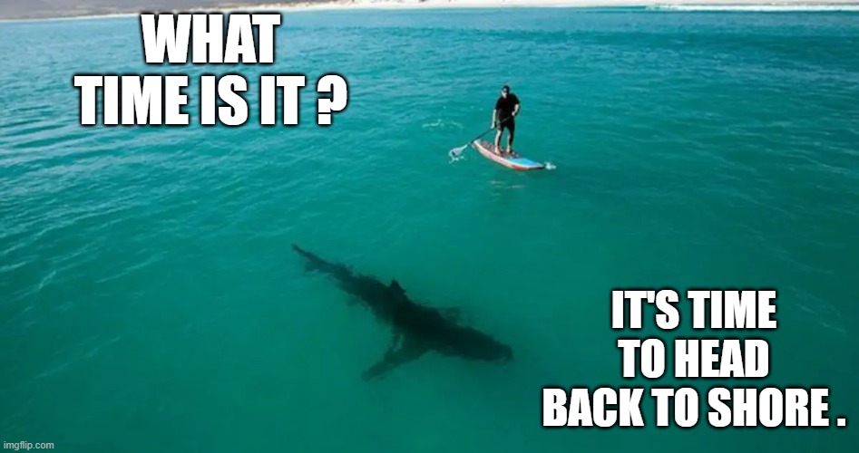 memes by Brad - Kayakers says it's time to head back to shore - humor | WHAT TIME IS IT ? IT'S TIME TO HEAD BACK TO SHORE . | image tagged in funny,sports,shark,kayak,funny meme,humor | made w/ Imgflip meme maker