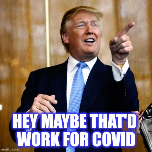 Donal Trump Birthday | HEY MAYBE THAT'D 
WORK FOR COVID | image tagged in donal trump birthday | made w/ Imgflip meme maker