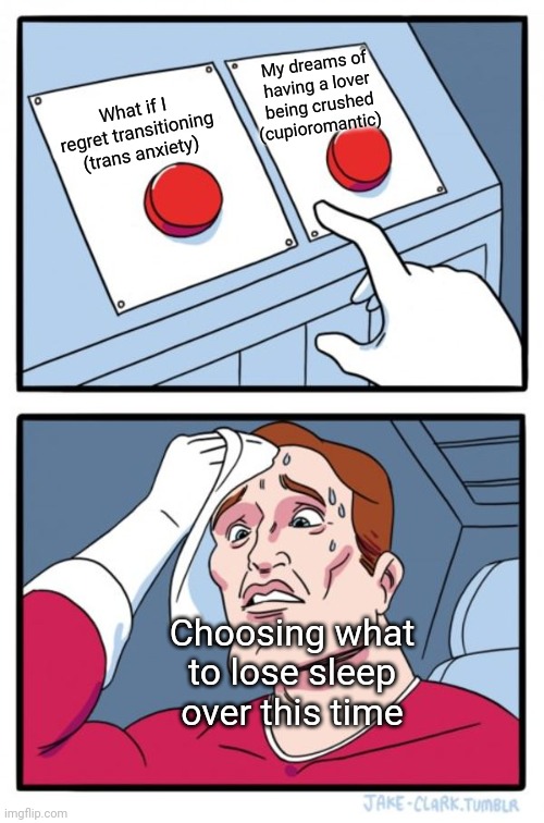 I am neither trans nor cupioromantic. Im just tired | My dreams of having a lover being crushed (cupioromantic); What if I regret transitioning (trans anxiety); Choosing what to lose sleep over this time | image tagged in memes,two buttons | made w/ Imgflip meme maker