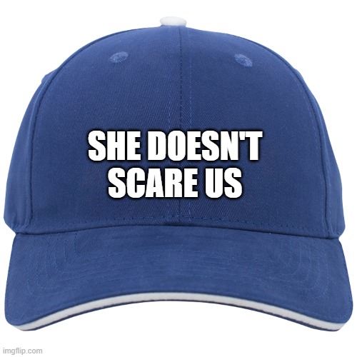 Blank Blue Hat | SHE DOESN'T
 SCARE US | image tagged in blank blue hat,kamala harris,i love democracy,democratic party,democrats,blank red maga hat | made w/ Imgflip meme maker