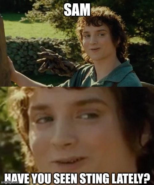 SAM HAVE YOU SEEN STING LATELY? | image tagged in frodo alright then keep your secrets | made w/ Imgflip meme maker