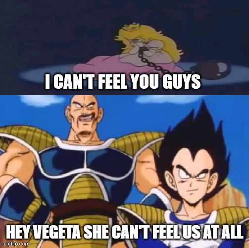 princess peach can't feel nappa and vegeta | I CAN'T FEEL YOU GUYS | image tagged in nappa and vegeta mocks women,princess peach,dragon ball z,feelings,nintendo,super mario bros | made w/ Imgflip meme maker