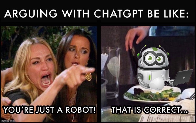 Take THAT, ChatGPT!!! | image tagged in woman screaming at cat | made w/ Imgflip meme maker