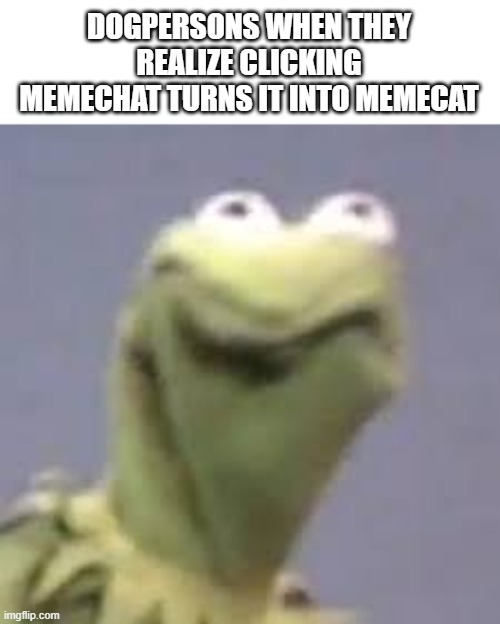 bruh | DOGPERSONS WHEN THEY REALIZE CLICKING MEMECHAT TURNS IT INTO MEMECAT | image tagged in kermit is not happy,meme,funny,memes | made w/ Imgflip meme maker