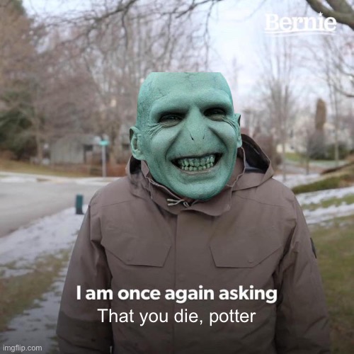 Voldemort | That you die, potter | image tagged in memes,bernie i am once again asking for your support,harry potter,voldemort,lord voldemort,harry potter meme | made w/ Imgflip meme maker