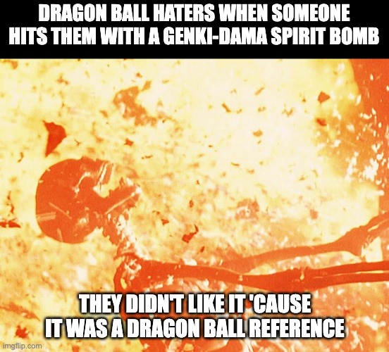 Rest in peace Toriyama, I wish you could've finished DB Super before dying :'( | DRAGON BALL HATERS WHEN SOMEONE HITS THEM WITH A GENKI-DAMA SPIRIT BOMB; THEY DIDN'T LIKE IT 'CAUSE IT WAS A DRAGON BALL REFERENCE | image tagged in fire skeleton | made w/ Imgflip meme maker