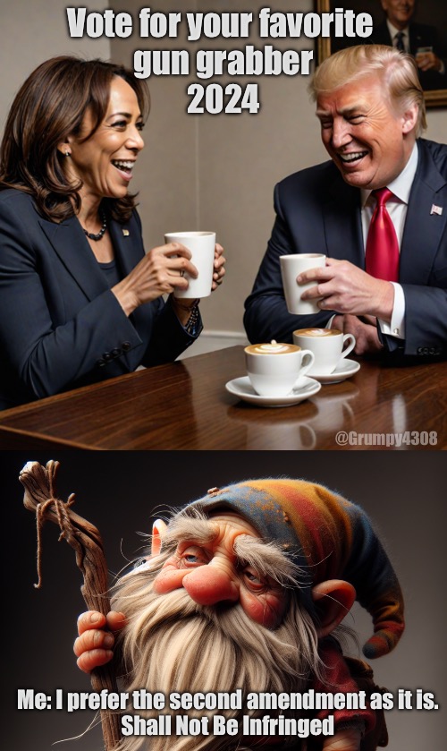 Vote for your favorite 
gun grabber
2024; @Grumpy4308; Me: I prefer the second amendment as it is.
Shall Not Be Infringed | image tagged in kamala and trump coffee | made w/ Imgflip meme maker