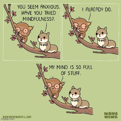 image tagged in tarsier,squirrel,anxiety,mindfulness,mind,full | made w/ Imgflip meme maker